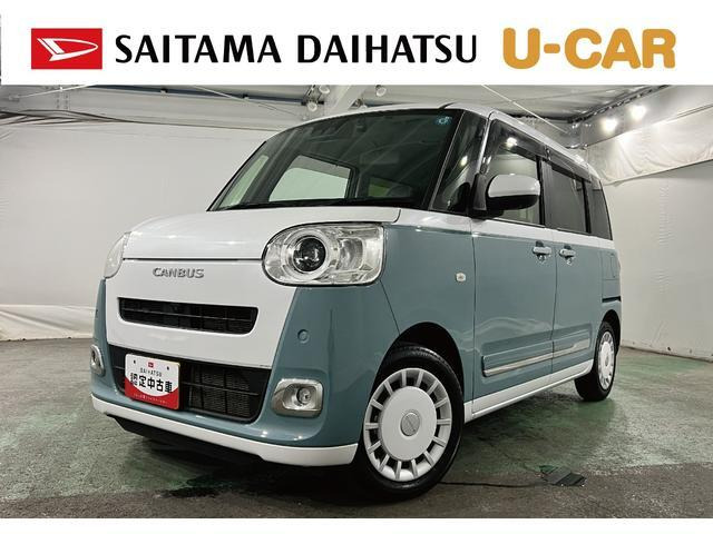ムーヴキャンバス  ストライプス G