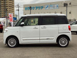 ムーヴキャンバス  ストライプス G