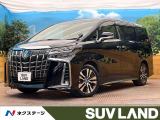 ツインムーンルーフ フリップダウンモニター BIG-X9インチナビ