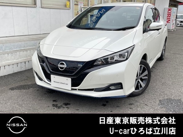 リーフ e+ X 
