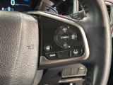 クルーズコントロールを装備しています。高速道路などで一定の速度で走ってくれるので運転が楽ですよ!速度を設定できますので、スピードの出しすぎにも注意できます。