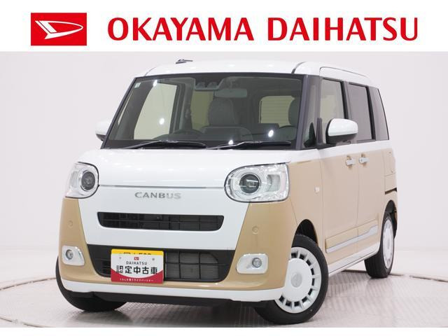 ムーヴキャンバス  ストライプス G