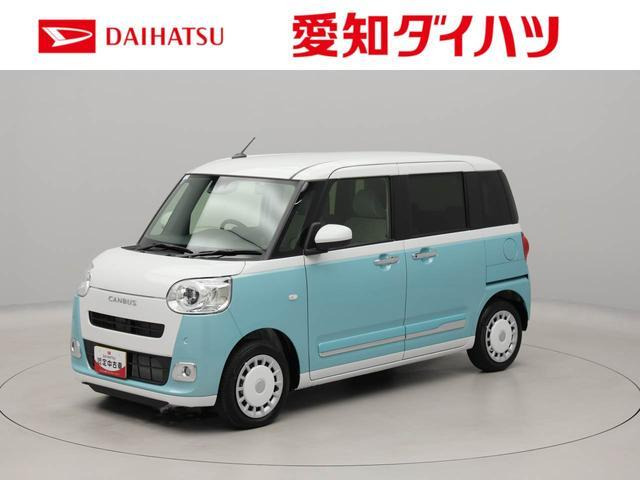 ムーヴキャンバス  ストライプス G