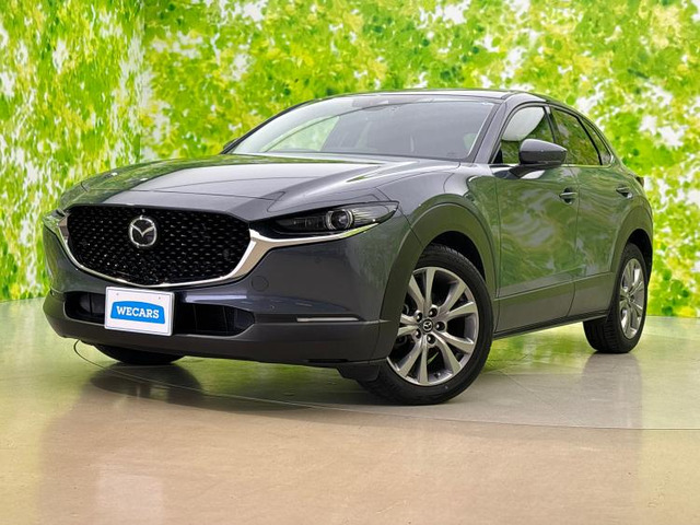 CX-30 2.0 20S プロアクティブ ツーリングセレクション 4WD 
