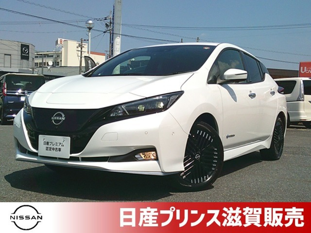 リーフ e+ G 