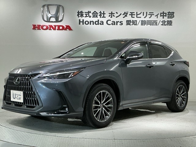 NX 250 