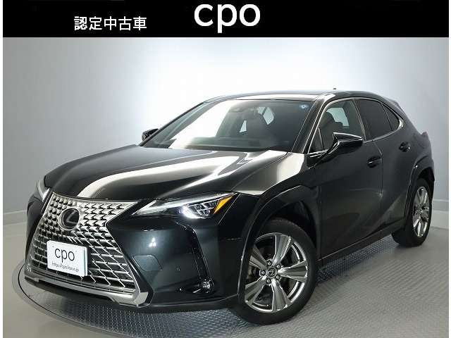 UX 250h グレイスフル エクスプローラー 