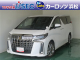 トヨタにおけるミニバンのフラッグシップ。上品な外観に、高い居住性をあわせ持つクルマです。