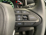 前方の車との車間を設定し、スピードを上げたり緩めたりを自動で行ってくれる追尾式の「レーダークルーズ」。上級装備の一つです!高級車にしかつかない嬉しい機能です。
