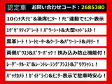 アルファード 2.5 S Cパッケージ 10インチ大ナビ リアモニター 黒革シート