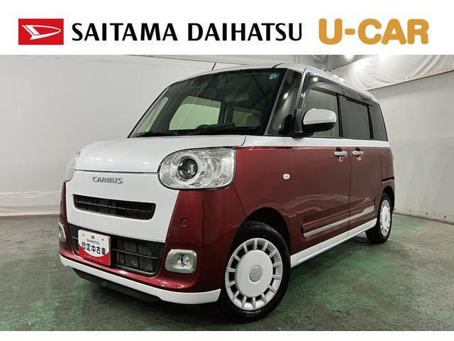 ムーヴキャンバス  ストライプス G