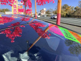 衝突軽減ブレーキ