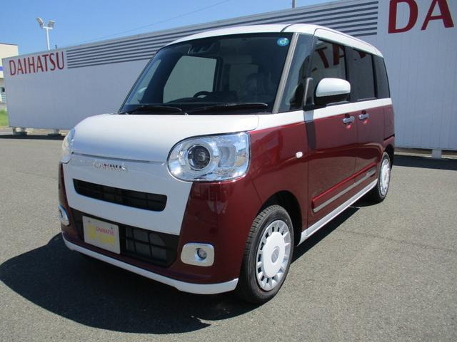 ムーヴキャンバス  ストライプス G