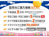 アルトラパン L 