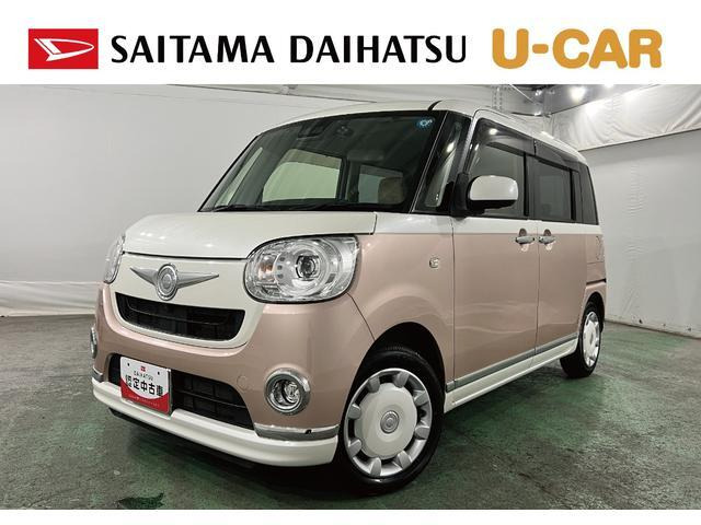 ムーヴキャンバス G メイクアップ SAIII 