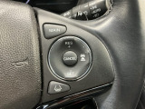 アクセルから足を離しても設定したスピードを保ち走行し、高速道路での疲労軽減に役立つクルーズコントロール付きです!