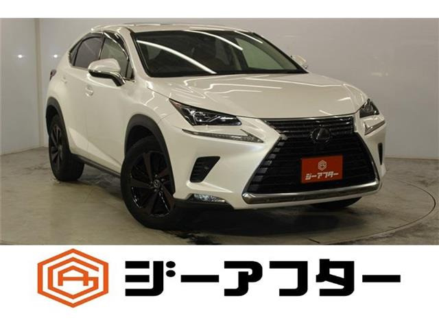 NX 300 バージョンL 4WD