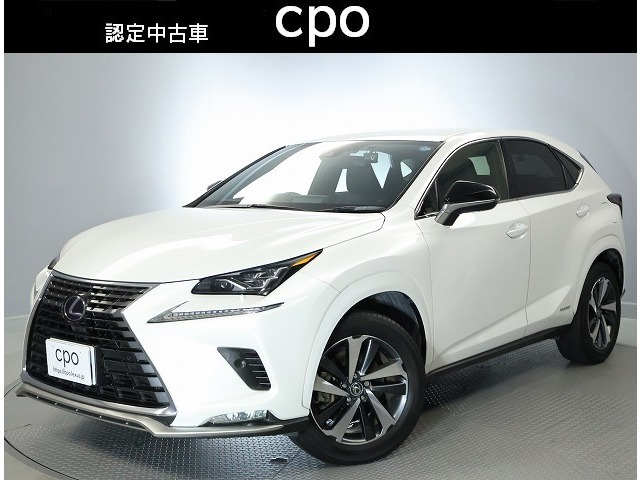 NX 300h スパイス&シック 4WD 