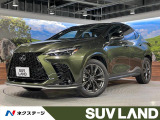 禁煙車 純正14インチナビ サンルーフ 全周囲カメラ 電動リアゲート