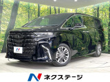 禁煙車 ガラスルーフ 後席モニター ユニバーサルステップ 純正14型ナビ