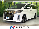 禁煙車 BIG-X11型ナビ フリップダウンモニター サンルーフ