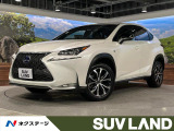 レーダークルーズ 電動リアゲート カラーHUD OP18インチアルミ
