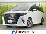 純正14型ナビ 両側電動ドア 全周囲カメラ 100V電源 衝突軽減装置