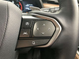 前方の車との車間を設定し、スピードを上げたり緩めたりを自動で行ってくれる追尾式の「レーダークルーズ」。上級装備の一つです!高級車にしかつかない嬉しい機能です。