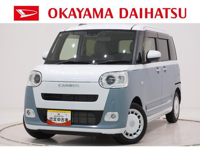 ムーヴキャンバス  ストライプス G