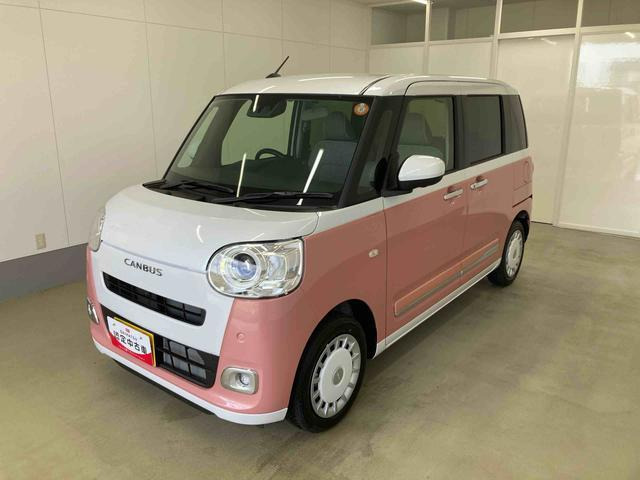 ムーヴキャンバス  ストライプス G