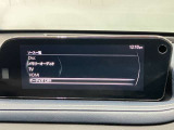 純正メーカーSDナビ・