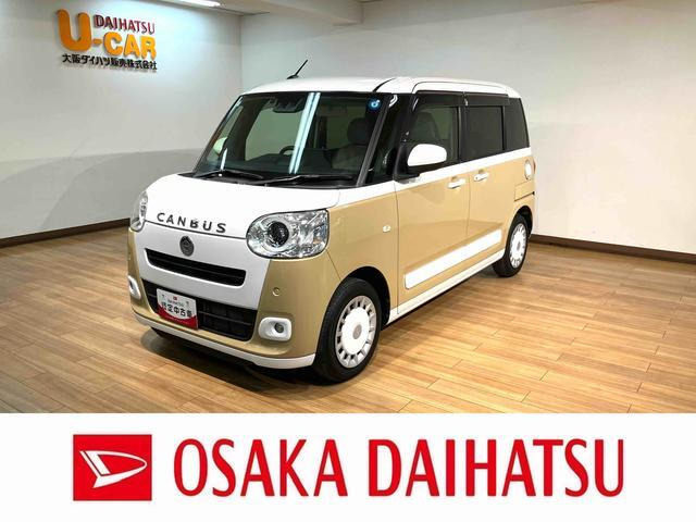 ムーヴキャンバス  ストライプス G