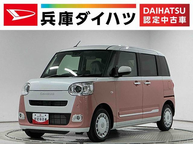 ムーヴキャンバス  ストライプス G