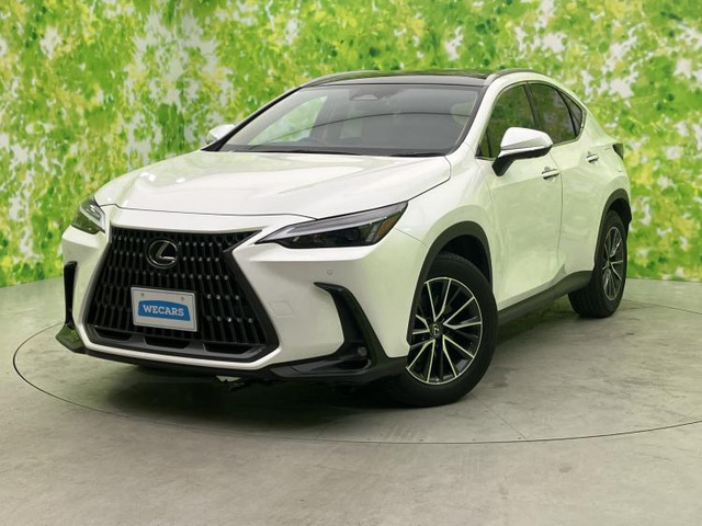 NX 250