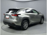 NX 300h 