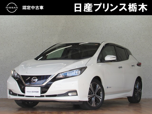 リーフ G 