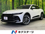 純正12.3型ディスプレイ 全周囲カメラ 寒冷地仕様 AC100V電源