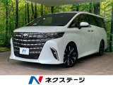 純正14型ナビ 後席モニター 衝突軽減 全周囲カメラ 両側電動ドア