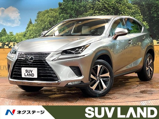 NX 200t Iパッケージ