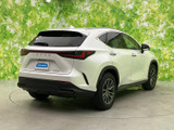 NX 250 