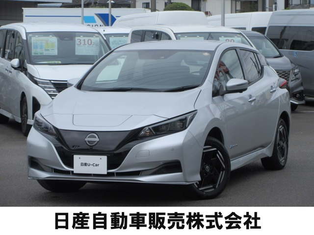 リーフ e+ X