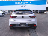 リアビューです。後ろから見ても目を引きます。