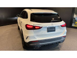 ドアハンドルには握りやすいグリップ形状が採用されています。空力面からは不利ですが、万一の事故の際など、車内に残された乗員を救出する為、外部からドアを開けやすいようになっています。
