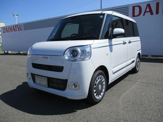 ムーヴキャンバス  ストライプス G