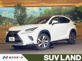 パノラマルーフ 10.3インチメーカーナビ 全周囲カメラ