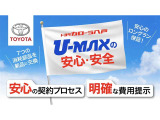 ライズ 1.0 Z 4WD 