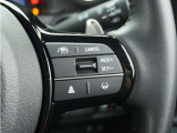 ◆アダプティブクルーズコントロール◆予め設定した車速内でクルマが自動的に加減速。前走車との適切な車間距離を維持しながら追従走行します。【LKAS】車線維持支援システムでステアリング操作を支援。