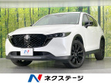 純正10.25型ナビ 全周囲カメラ 衝突軽減装置 レーダークルーズ