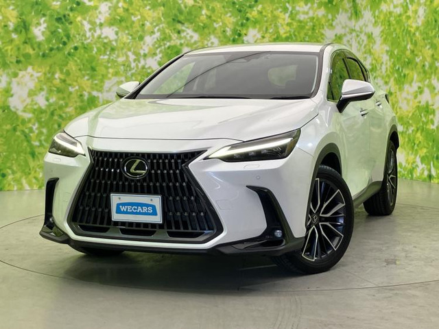 NX 350h バージョンL