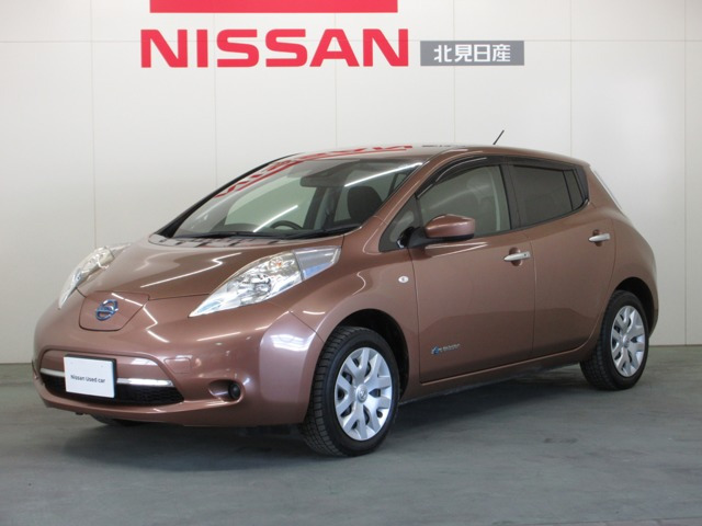 リーフ 30kWh S